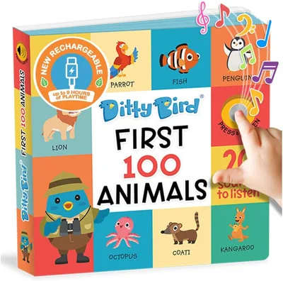 Ditty Bird 50% Off: Save AED 61.73