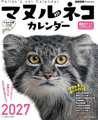 南幅俊輔による最高の取引:優れた価格と性能を兼ね備えた商品