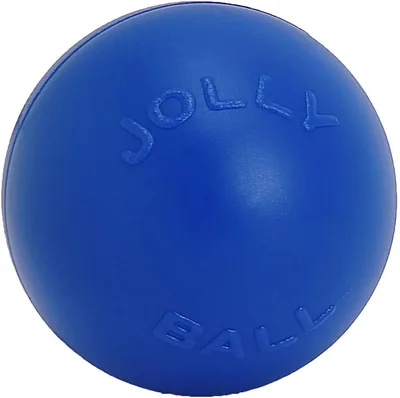 Jolly Pets Push-n-Play Ball Dog Toy, 10 Inches/Large, Blue Best Deal