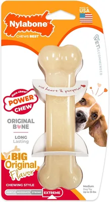 Nylabone Dura Chew Giant Bone Dog Toy, Medium/Wolf
