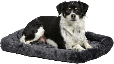 MidWest Homes for Pets Dog Bed 24L-Inch Gray