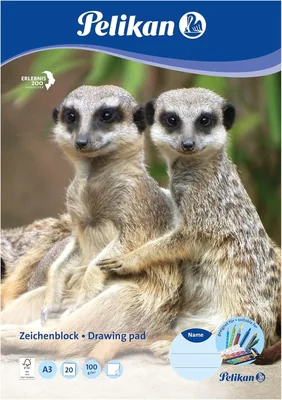 Pelikan Zeichentableau Weiß C3 | Best Deal