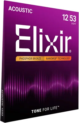 Corde de guitare acoustique Elixir Phosphorus Bronze avec revêtement NANOWEB, légère (012-053)