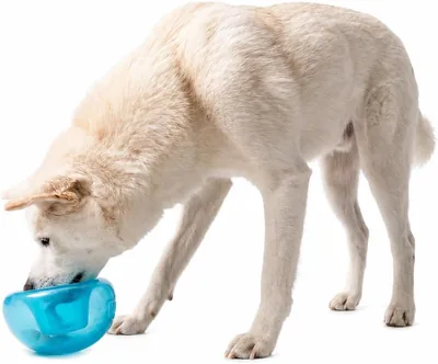 Planet Dog Orbee-Tuff Snoop Interaktiver Spielball für Hunde - Snack-Ball, Blau, Groß