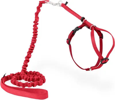 PetSafe Come with Me Kitty Harness & Bungee Leash, Medium Red