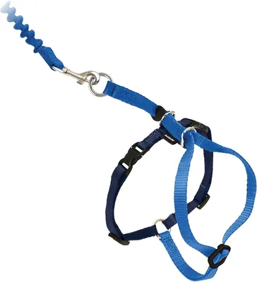 PetSafe Come With Me Kitty Harness & Bungee Leash, Large, Royal Blue/Navy (16% Off)