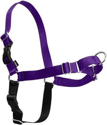 PetSafe Easy Walk Dog Harness - Medium, Deep Purple