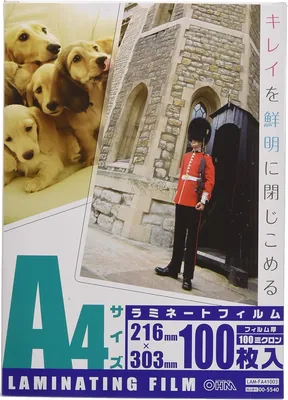 OHM 100枚 100ミクロン ラミネーター用フィルム A4 LAM-FA41003 最安値