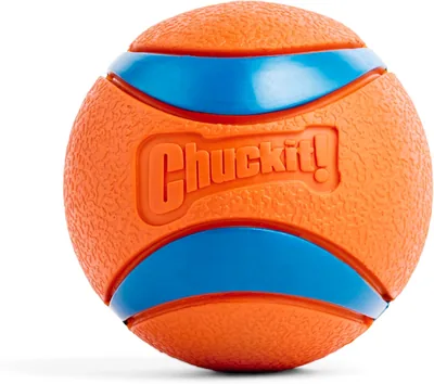 Chuckit! Ultra Ball Large Dog Toy