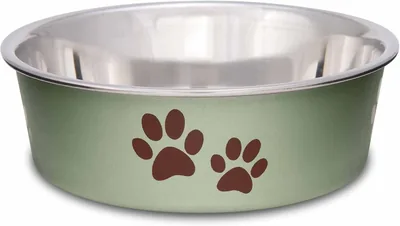 Loving Pets Bella Bowls - Spill Proof Dog Food Water Bowl, Stainless Steel (Small, Artichoke Green) Best Deal