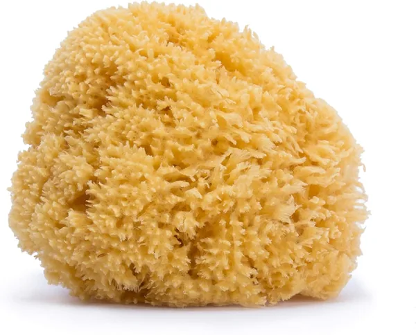 Suavinex - Natural Sea Sponge for Baby. Large size. 100% Natural Baby Sponge