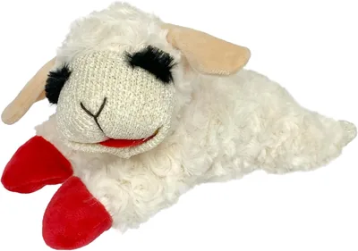 Multipet Lambchop Plush Dog Toy - Best Deal