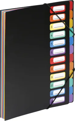 Fichier vertical Arc-en-ciel Viquel avec 12 compartiments et gusset en polypropylène 5/10, Noir avec intérieur multicolore