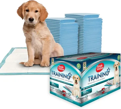 Simple Solution Absorbent Training Pads - Pack of 100