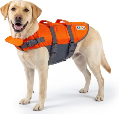Outward Hound Ripstop Large Dog Life Jacket, Orange - Best Deal
