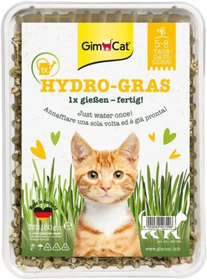 GimCat Hydro-Gras: Césped Fresco para Gatos en 5-8 Días - 1 Plantador (1 x 150g) | Mejor Oferta