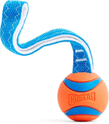 Chuckit Ultra Tug Dog Toy, Medium Fetch and Dog Ball Tug Toy for Dogs 20-60 Pounds - 24% Off