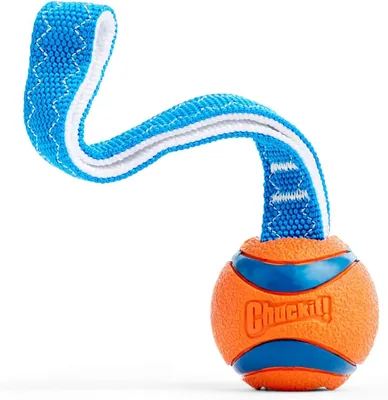 Chuckit! Ultra Tug Dog Toy Small Fetch Ball for Dogs 0-20 Pounds Best Deal