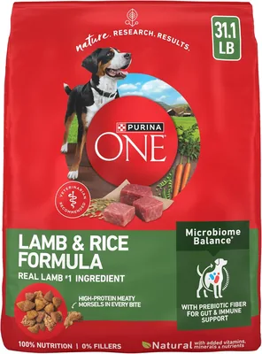 Purina ONE Lamb & Rice Dry Dog Food