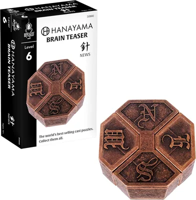 BePuzzled Hanayama Cast Metal Brain Teaser Puzzle Level 6