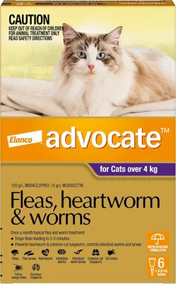 Advocate Cat Monthly Spot-On Protection 6 Pack Best Deal