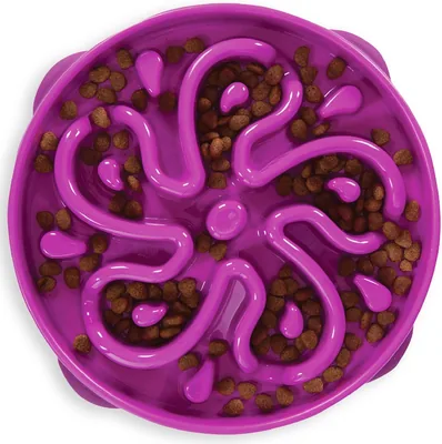 Outward Hound Fun Feeder Slow Feed Dog Bowl Purple Large