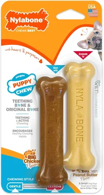 Nylabone Puppy Chew Toy Peanut Butter & Chicken Flavor X-Small
