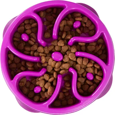 Outward Hound Slow Feeder Dog Bowl for Small Dogs, Purple