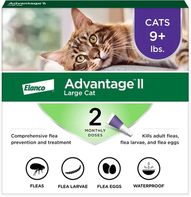 Advantage II Cat Flea Treatment - 2 Month Supply Best Deal