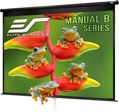 Manual Pull-Down 4:3 Projection Screen