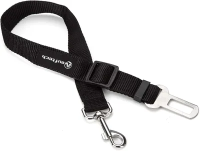 Nuovissimo Guinzaglio Regolabile per Cani Neuftech, Nero, 65 cm - Miglior Affare