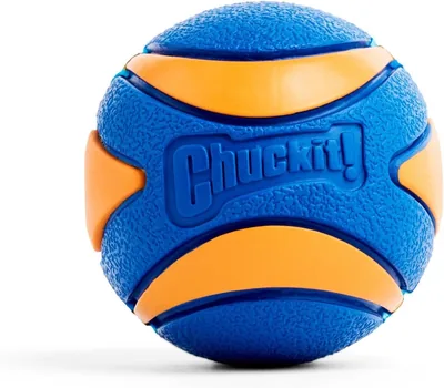 Chuckit! Ultra Squeaker Ball Dog Toy Best Deal