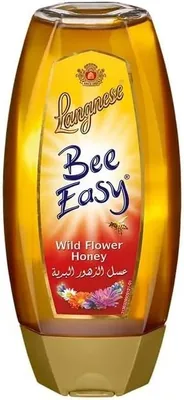Langnese Bee Easy Wild Flower Honey 500g Best Deal