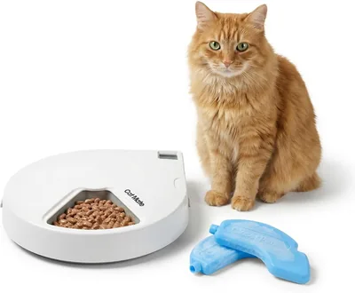 Cat Mate C500 Automatyczne Karmidło, Biały, 5 Porcji - Najlepsza Cena