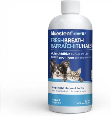 Bluestem Dental Care Water Additive 500ml - Best Deal
