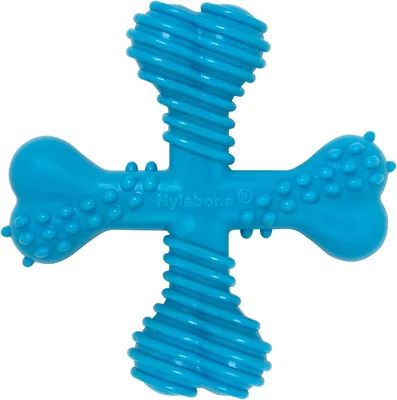 Nylabon Power Chew Comfort Bone Toy for Dogs, Small, Beef Flavor - 11% Off