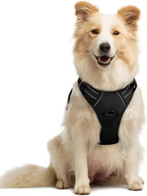 Rabbitgoo No Pull Dog Harness Medium, Reflective Mesh L