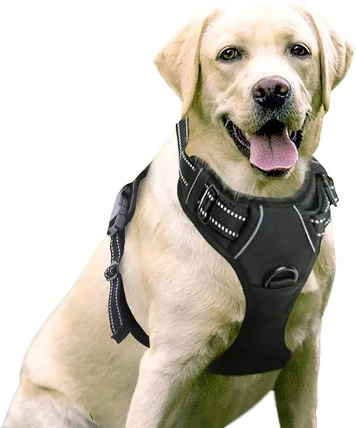 rabbitgoo Dog Harness Large Medium Small Harness Chest Anti Pull Dogs Car with Reflective Lines Comfortable Breathable Adjustable Padded Vest for Training Running Black Large Size