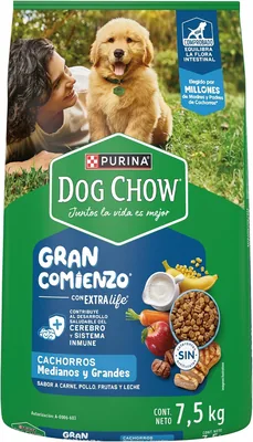 Dog Chow Purina Cachorro Raza Mediana y Grande Sabor Carne, Pollo y Frutas 7.5Kg - 31% Off