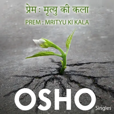 प्रेम मृत्यु की कला - सर्वश्रेष्ठ सौदा
