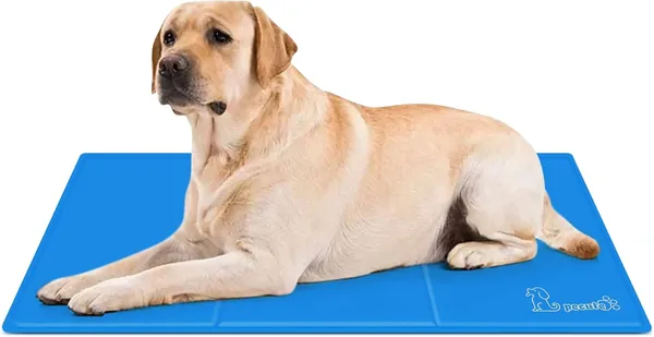 Pecute Kühlmatte für Hunde und Katzen mit Giftfreiem Gel, Selbstkühlender Kissen, Cooler Hundebett, Kaltes Gelpad für Katzen und Doges - Best Deal