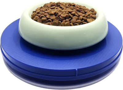 Yuwoda Ant Proof Pet Bowl - No Water Needed, Best Deal