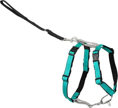 PetSafe 3 in 1 Dog Harness - Pull Control & Reflective Design
