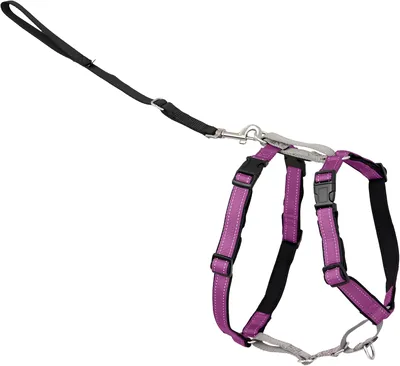 PetSafe Arns Easy Walk 3 en 1, Talla Pequeña, Color Ciruela | 5 Puntos de Ajuste; Enganche para Cinturn de Seguridad del Coche