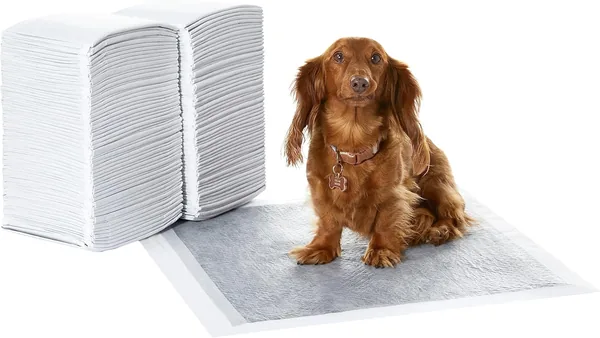 Amazon Basics Odor Control Charcoal Mats for Dog Puppy Training