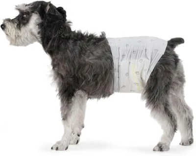 Amazon Basics Disposable Male Dog Diapers M - Paquete de 30, Blanco - Mejor Oferta
