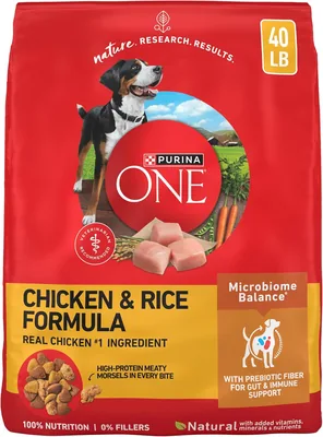 Purina ONE Chicken & Rice Dry Dog Food