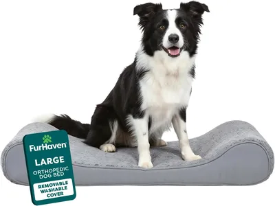 Furhaven Orthopedic Dog Bed Large/Medium Plush Faux Fur