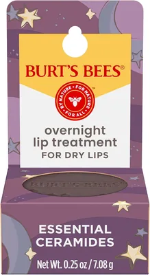 Burt's Bees Overnight Lip Treatment 0.25 oz