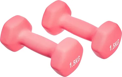 Amazon Basics Neopren Hanteln Gewichte, 2er-Set, 1-5kg, für Krafttraining und Fitness — Jetzt 52% Rabatt
